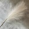 Artificial Phoenix Feather Tail Arrangement For Wedding Photo Props Decor Home