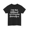 Grandpa Retirement Shirt, I'm Not Retired I'm A Professional Grandpa Shirt