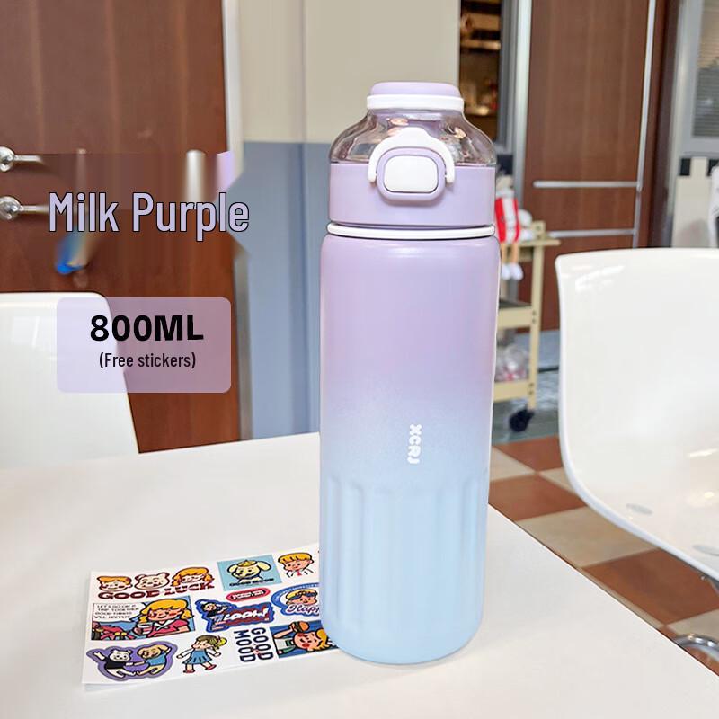 Duoli Gradient Insulated Straw Sport Bottle with Handle