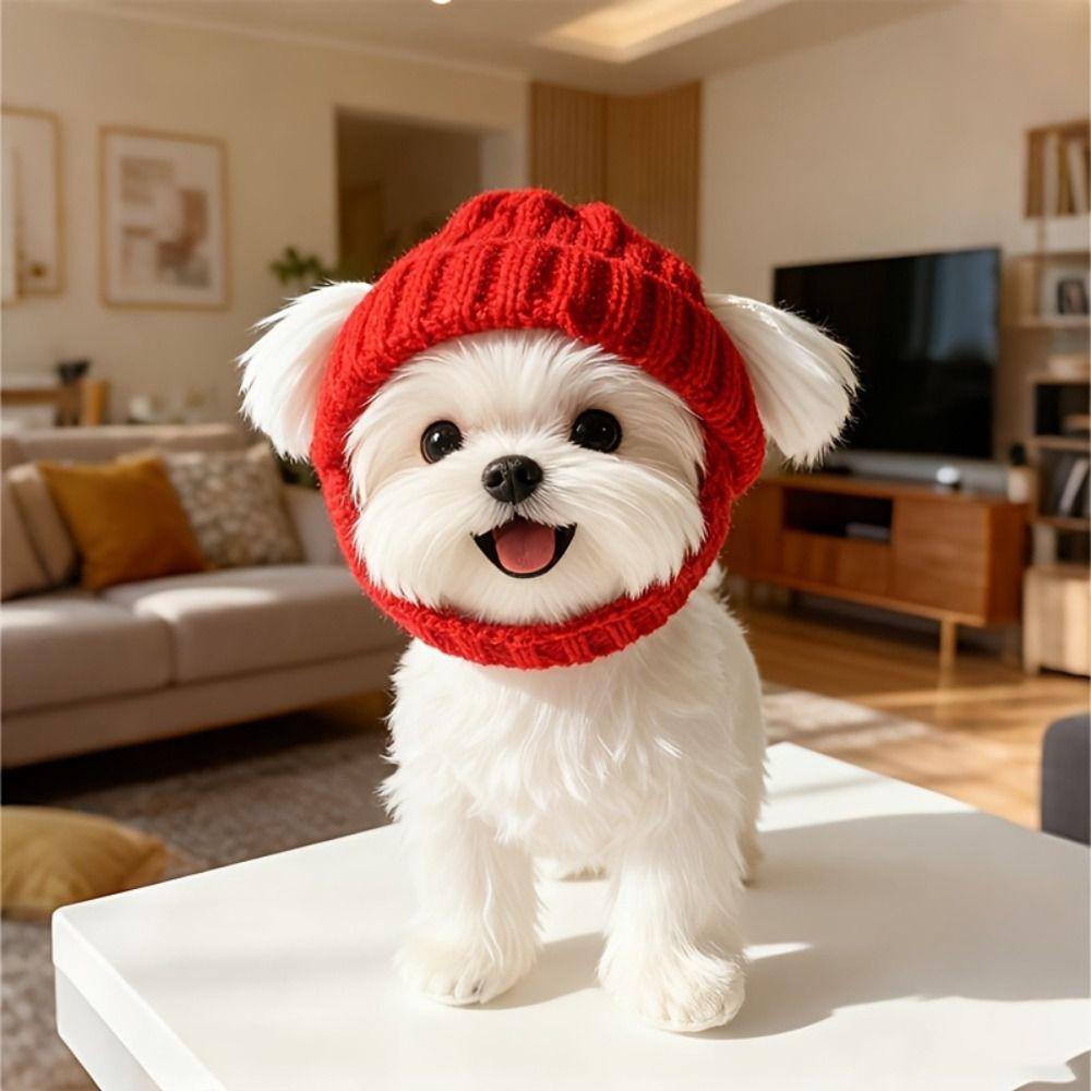 Windproof Warm Dog Beanie Cozy Soft Knit Pet Headwear Simple Pet Knitted Hat  Cold Weather