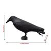 New 3D Animal Target Simulation Crow Bow And Arrow Hunting Training Decoy PE Scaring Birds Garden Decoration Archery Accessories