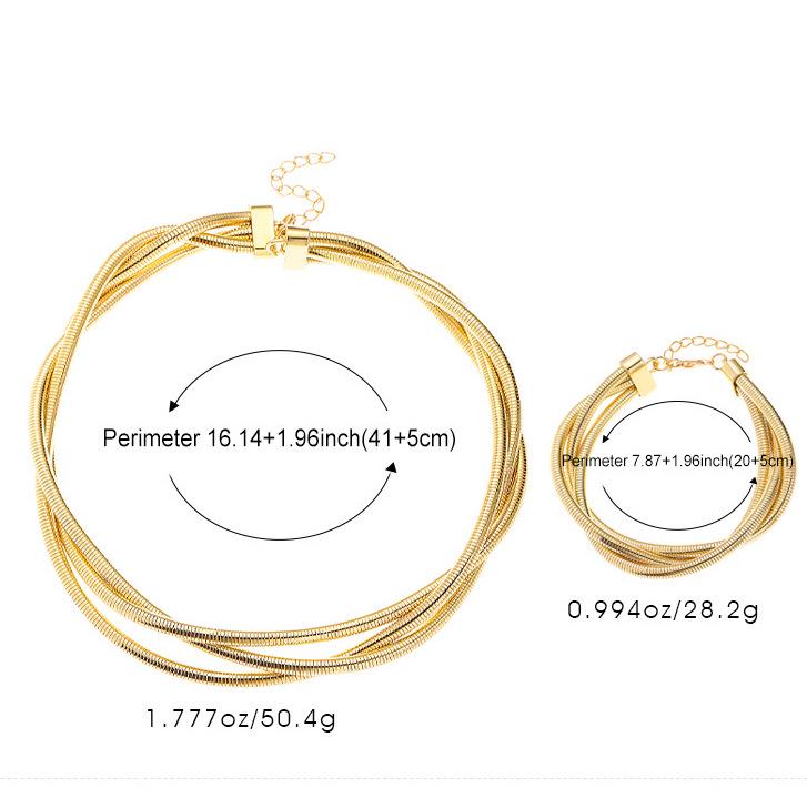 High-End European & American Metal Punk Hip-Hop Necklace/Bracelet with Three-Wire Winding Spring Design