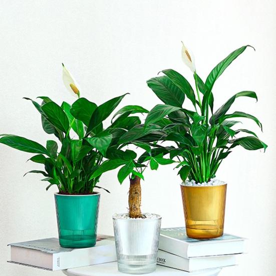 Vaso de Flores Autoirrigável Plástico Listrado com Cordas de Pavio Reservatório de Água Vaso para Plantas de Interior para Mesa Escritório Decoração de Casa