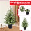 60CM Norfolk  Christmas Tree Front Door Christmas Tree Decoration Indoor Living Room Christmas Decoration