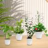 Trellis for Climbing Plants Indoor, Garden Trellis with 4 Different Black Iron Patterns and Ties, Plant Trellis for Potted Plants for Vine Ivy Flower