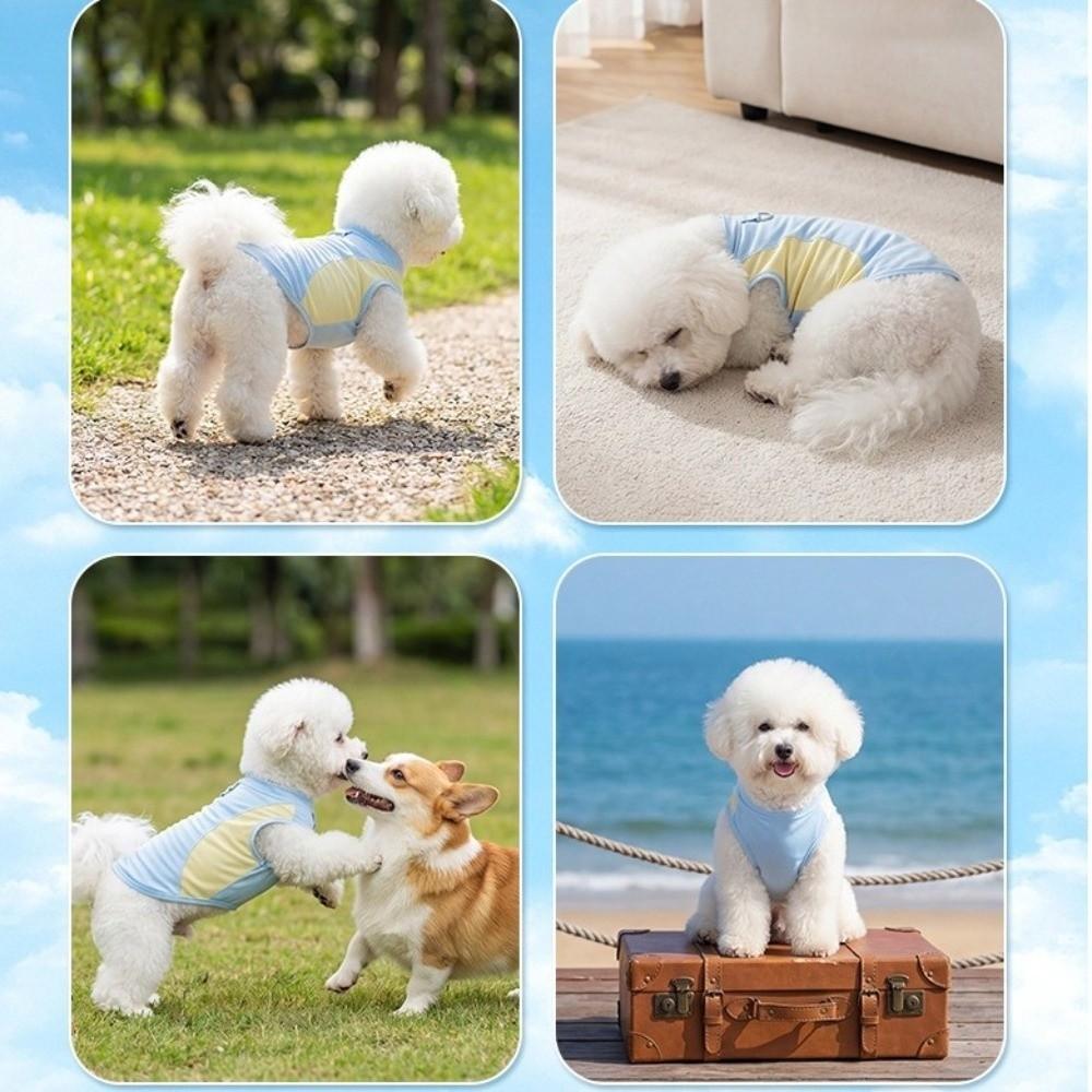 Breathable Mesh Dog Cooling Vest Comfortable Quick Drying Pet Summer Clothes with D Ring Lightweight Pet Cooling T-shirts Hiking
