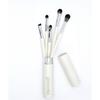 Gloworks Edge Blending Brush Set  5 Pieces+case 