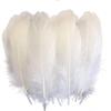 Hvit Gås Nagoire Løs Fjær 5-7"/13-18Cm Gåsefjær For Håndverk Klesstilbehør Fjær For Smykkefremstilling Plumas