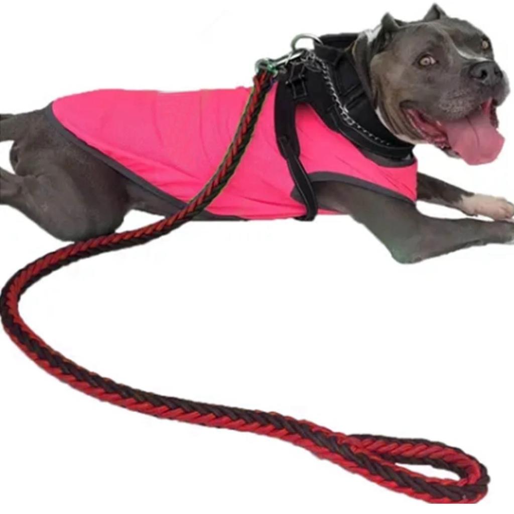 Dog Leash Heavy Duty Thickened Bite Resistant Nylon Pet Traction Leash For Medium Dog Walking Training 4.2ft