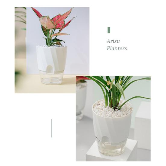 Selbstbewässernder Pflanztopf Blumentopf mit transparentem Reservoir Pflanzgefäß mit Dochtschnüren und Drainagelöchern für Orchideen Afrikanisches Veilchen Sukkulenten Zimmerpflanzen
