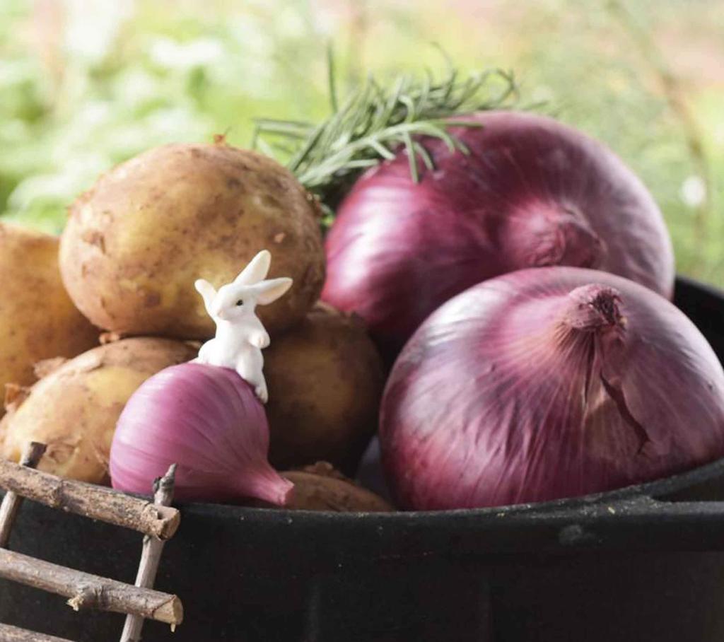 Matsuno Hobby Cute Animal Mascot Figurine, Rabbit and Onion, H6.5 x W5.5 x D4.5cm (Gardening & Interior Decor Series) GM-3834