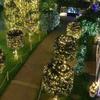 1000LED Fairy String Lights Christmas Garland Outdoor Decor Lights Waterproof with Remote for Tree Street Wedding Party