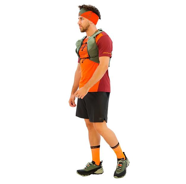 DYNAFIT Alpine Pro 2 In 1 Shorts