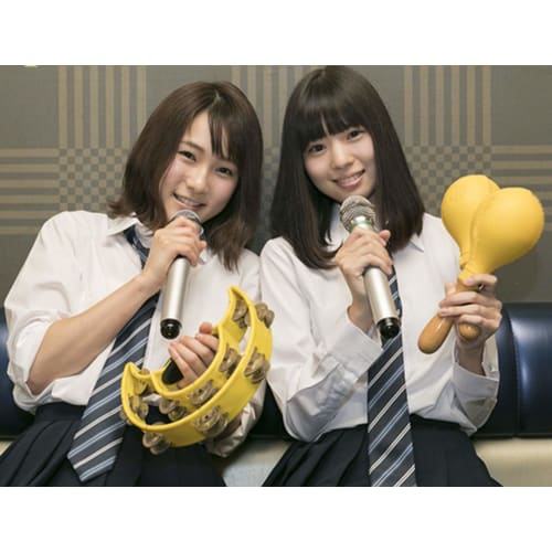 Monolife Maracas and Shakers, Karaoke Wooden Musical Instruments, Pair Set (Red)