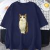 Cat Owl Funny Meowl Meme Brainrot Graphic T-shirts Men's Women Clothing Short Sleeves T-shirt Cotton Oversized T Shirts