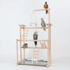 Grote Interactieve Houten Papegaaienstandaard - Papegaai Trainingszitstok Stand met Schommel, Ophangringen, Ladder, Vogel Speelgoed Speeltuin