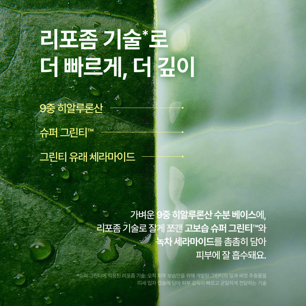 INNISFREE Green Tea Ceramide Milk Essence 160ml (+25ml)