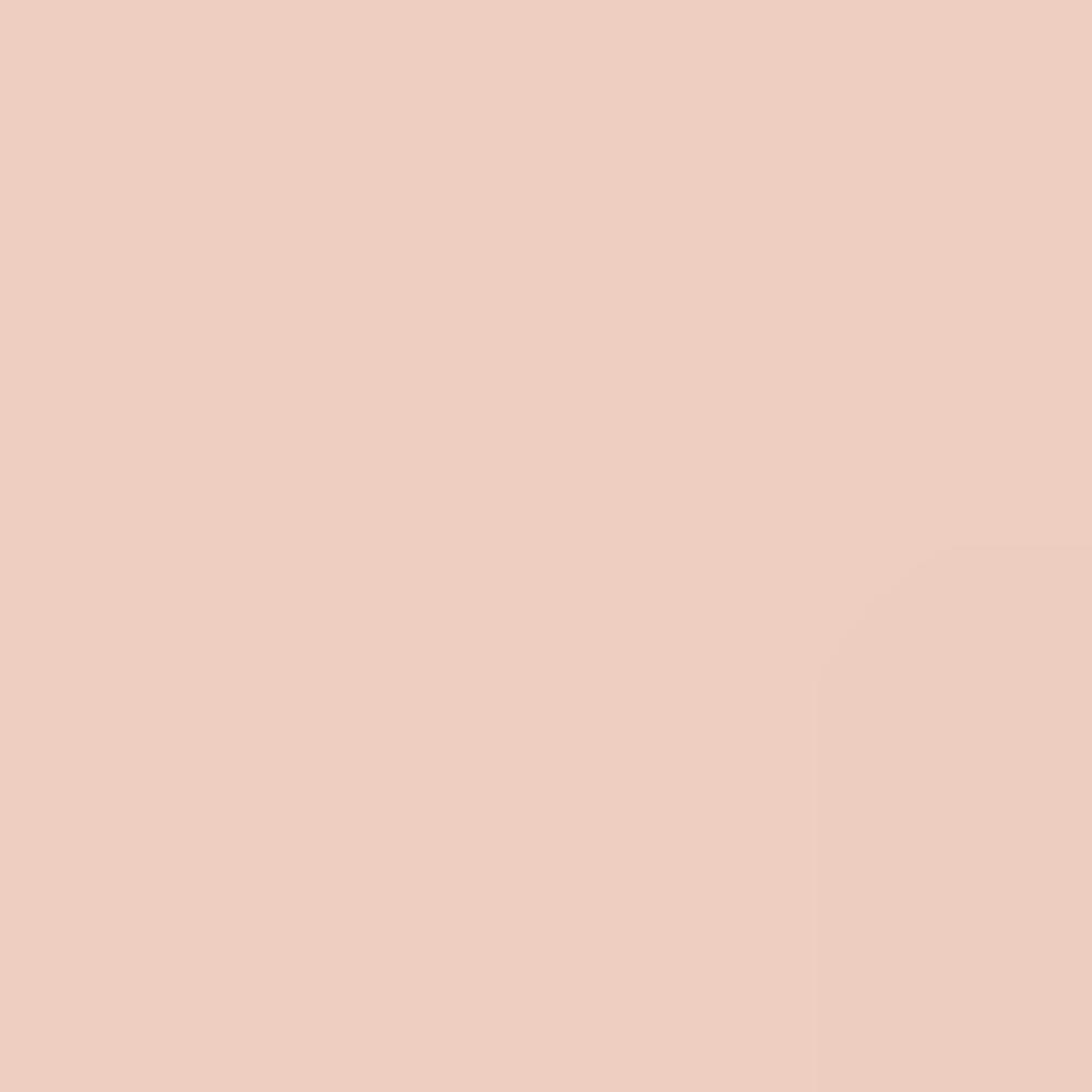 LANEIGE Neo Cushion Matte Double Set SPF46 PA++ | Ultra-Adherent Full Cover Matte Cushion