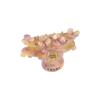 White Colorful Crystal Flower Acetate Hair Claw Hair Ornaments Flower Hair Clips Korean Style