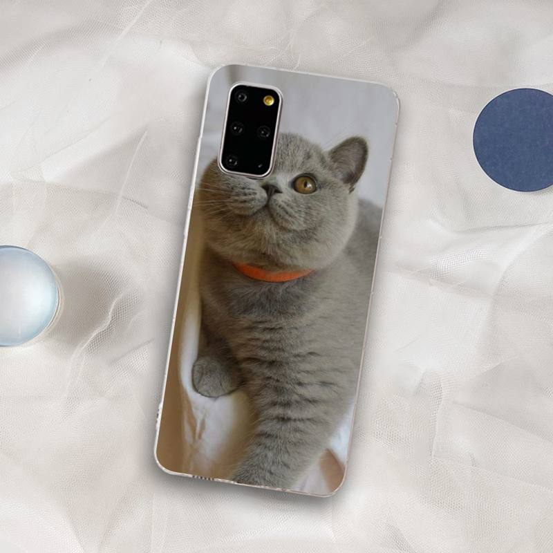 British Shorthair cat Phone Case for Samsung S21 A10 for Redmi Note 7 9 for Huawei P30Pro Honor 8X 10i cover