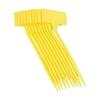 Multicolored Upturned Plant Markers for Easy Plant Identification Set of 10