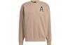 Adidas Sweatshirts Unisex Coffee Crew Neck Moderate Regular IB2728