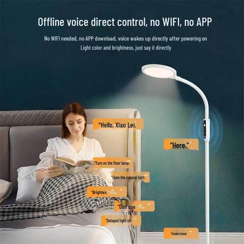 Newman Multi-functional Voice-Controlled Eye-Protection Floor Lamp