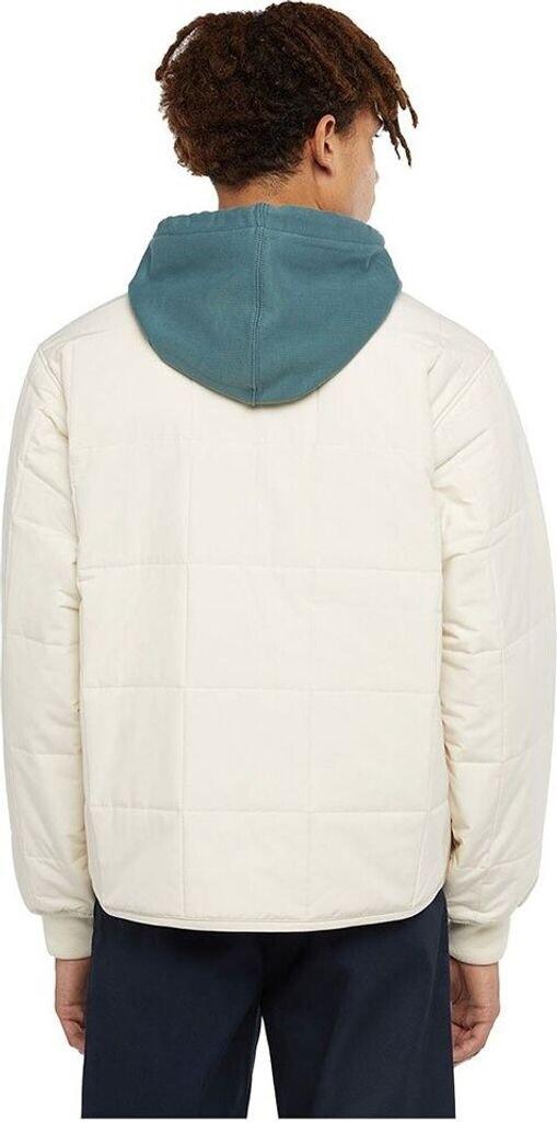 Demiseason Jacket Dickies Gardiner Liner Jacket (DK0A4Z35F901)