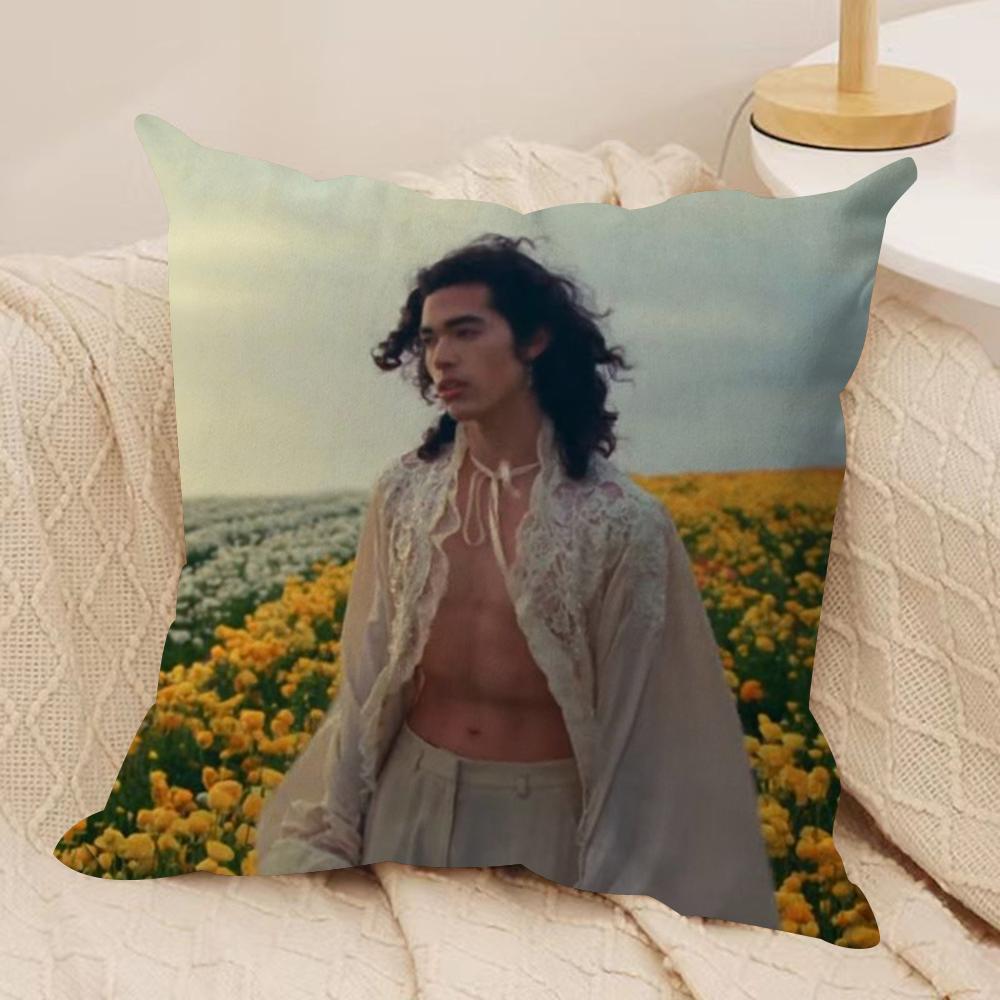 Conan Gray Holidays Cushion Cover Silky Short Plush DoubleSided Printed Pillow Case for Sofa All Seasons Home Decor Gift