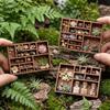Multi Compartments Jewelry Display Tray Wooden Miniature Trinket Shelf  Mineral Specimen Storage