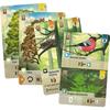 Board Game - ASMODEE - LKGFOM01FR - Mixed Forest - 180 Cards - 60 Min of Play