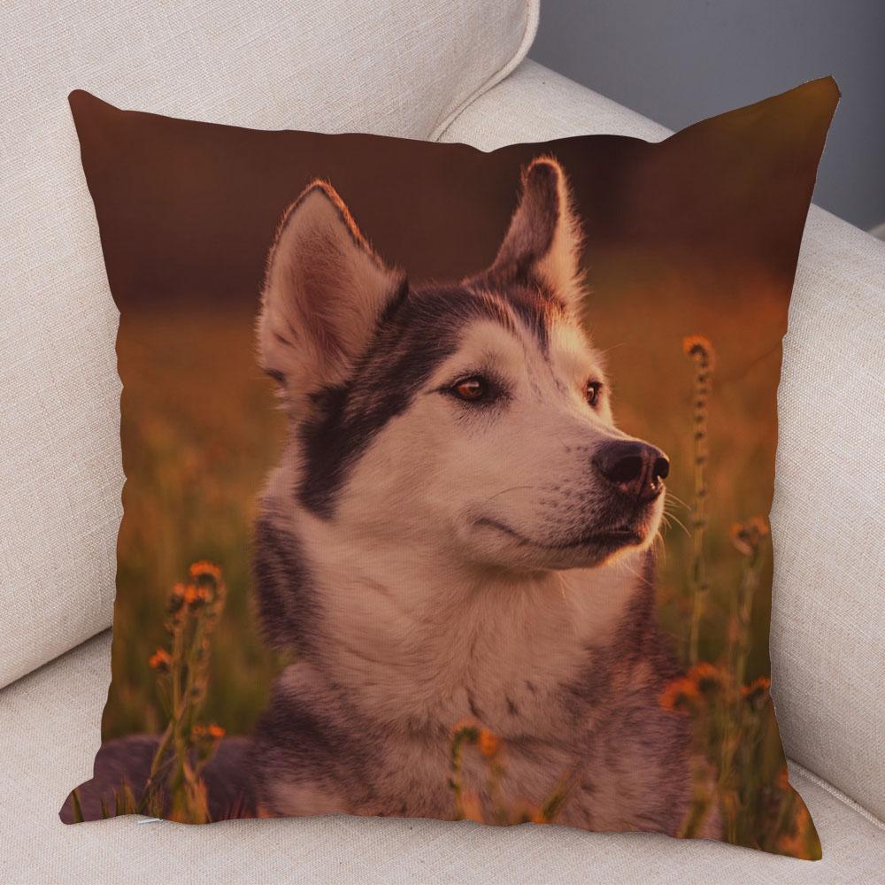 Pet Animal Sofa Cushion Cover Cute Siberian Husky Pillowcase Decorative Dog Print