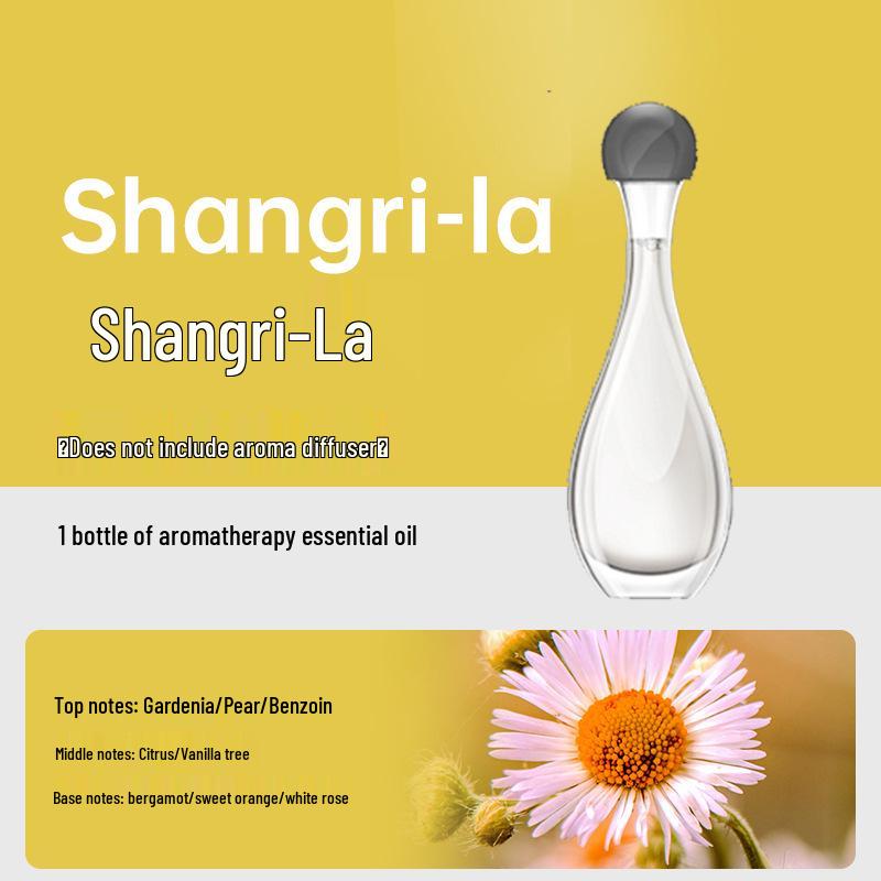 Aroma Diffuser & Automatic Air Freshener for Home, Hotel, Indoor Spaces, Toilet, Bathroom - Fragrance Deodorizer