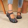 Small Leather Shoes Women's Spring and Autumn Literary Embroidery Floral Fabric Mary Jane Single Shoes Princess Shoes Low Heel Retro Style