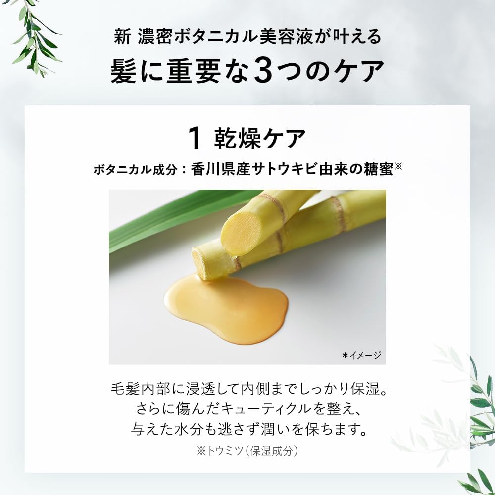BOTANIST Botanist Shampoo Treatment Set Moist