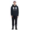 Under Armour Rival Big Sweatshirt Men's Black 1357093-001