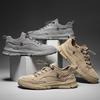Men's shoes autumn trendy shoes 2025 new men's sports and leisure shoes versatile British outdoor low-top tooling shoes men
