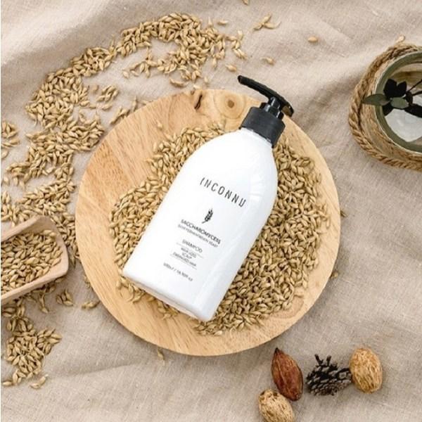 Shampoo de levedura de cerveja Incan Nu 500ml + Pogonia Nonen Alde Hyde Body Cleanser 500ml Gift Set, 1 conjunto, conjunto de cosméticos populares coreanos