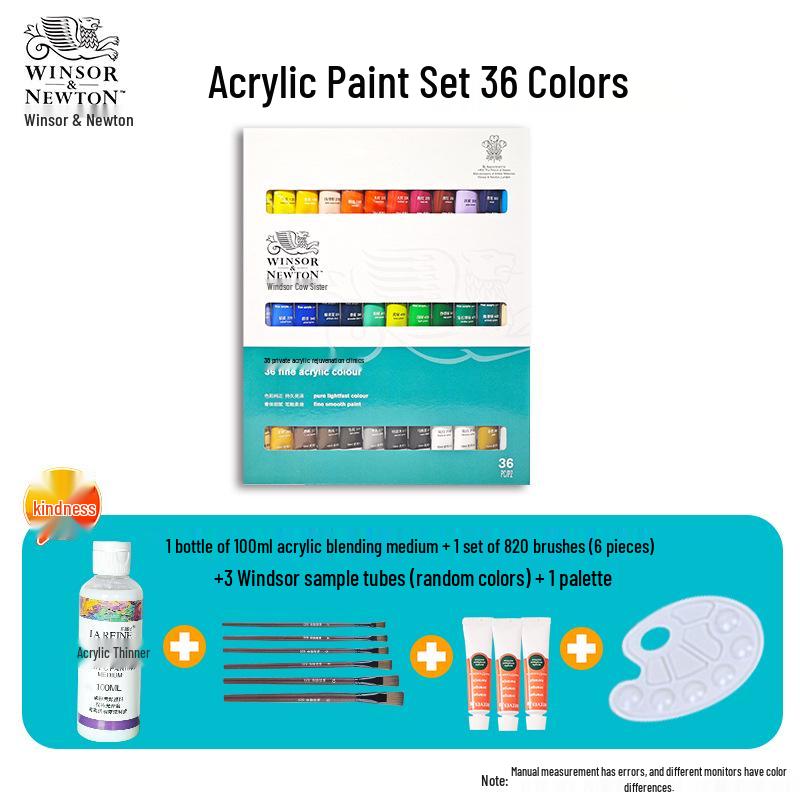 Winsor & Newton 12-Color Waterproof Acrylic Paint Set for DIY Stone, Textile & Wall Painting
