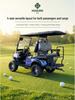 2-8 Seat Golf Cart for Tourist Areas, Hotels, and Scenic Tours