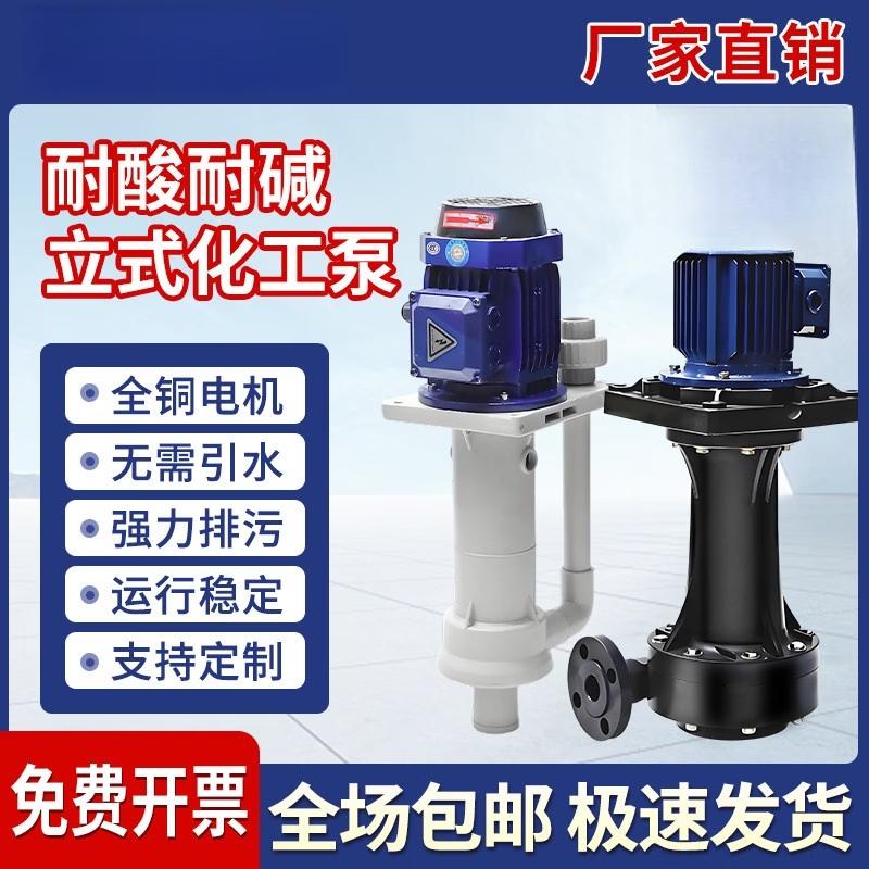 RSRDDY PP Plastic Chemical Circulating Pump