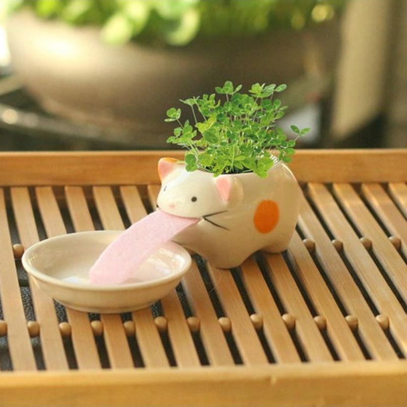 Cute Pig/Frog/Cat/Bear/ Panda Ceramic Flower Pot Small Cartoon Succulent Flowerpot Bonsai Cactus Ornament Home Garden Pots