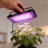 Full Spectrum Led Grow Light For Indoor Plants With High Efficiency And Waterproof Design