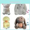 Soft And Snuggly Musical Bear Infant Sleep Companion Plush Toy With Light