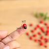 10Pcs Mini Ladybird Red for Doll House Garden Decor Ornament