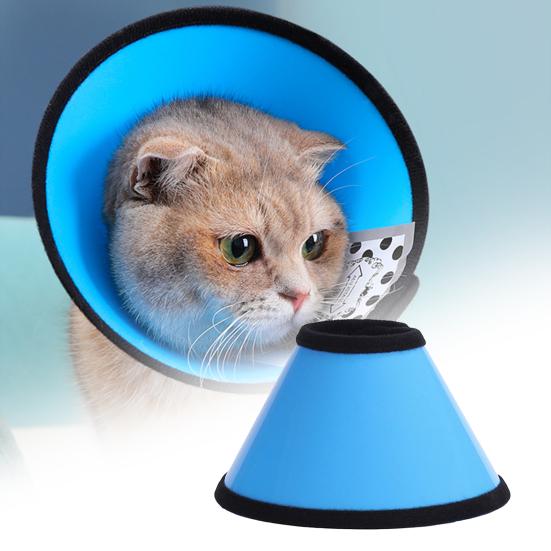 Pet Circle Solid Color Anti-licking Plastic Recovery Wound Protective Collar for Cat