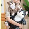 Adorable Plush Bobo Cat Doll Soft Stuffed Animal For Girls Perfect For Sleeping And Cuddling