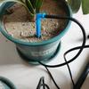 35mm Capillary Tube for Drip Irrigation in Orchards, Horticulture, and Potted Plants