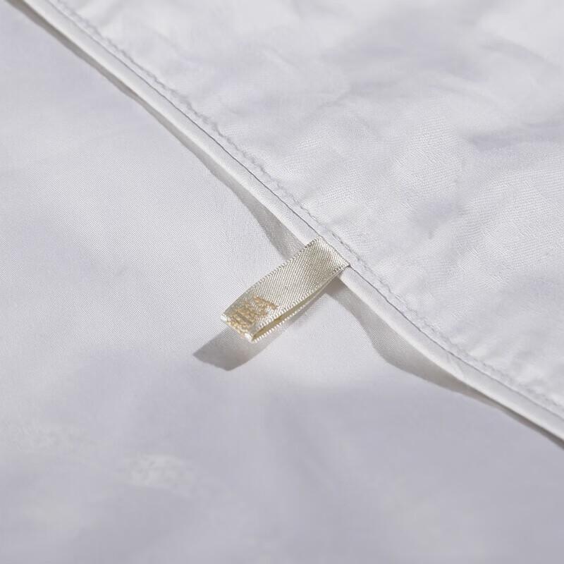 FUANNA 100% Mulberry Silk Four-Season Quilt