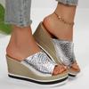 Fashion Women Shoes Silver Chunky Platform Sandals 2025 Summer Wedges Slippers Plus Size 36-43 Woman Outdoor High Heels Sandles Female